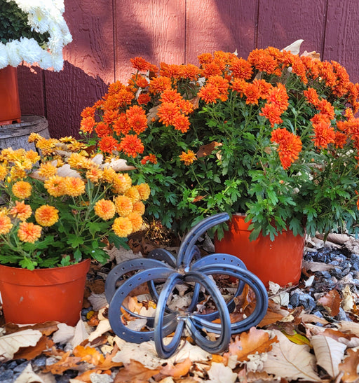 Horseshoe Pumpkin - Arc and Hammer