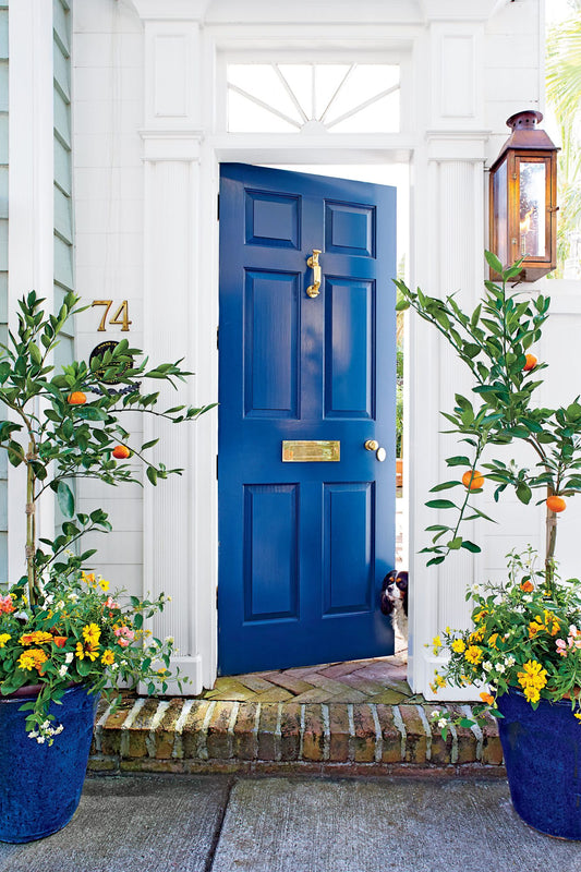 Inspiring Front Door Colors to Bring Joy to 2020