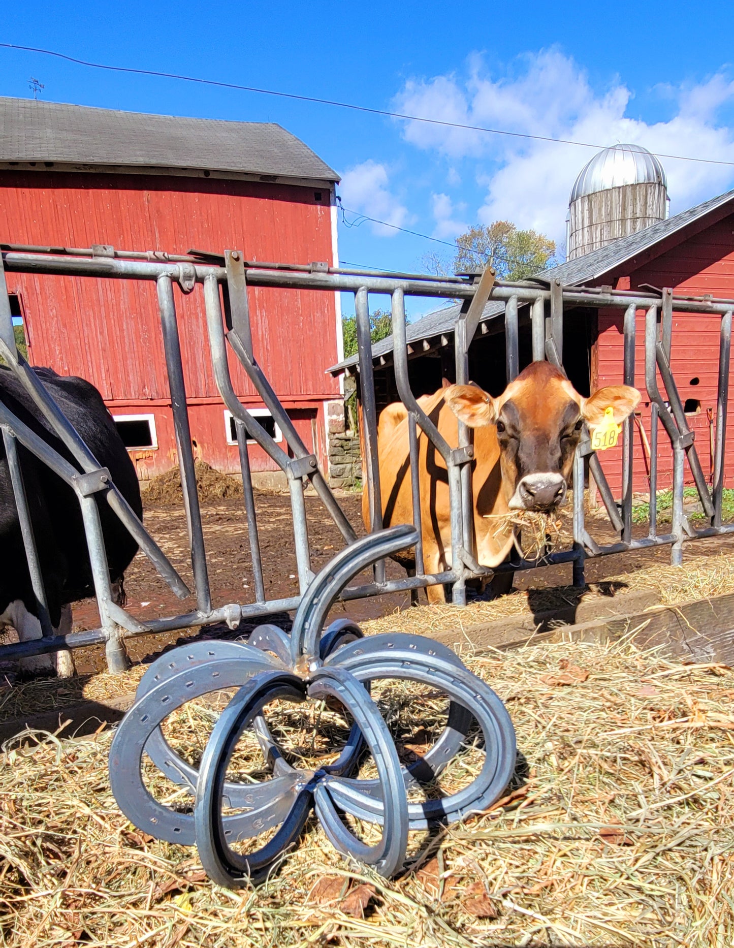 Horseshoe Pumpkin - Arc and Hammer