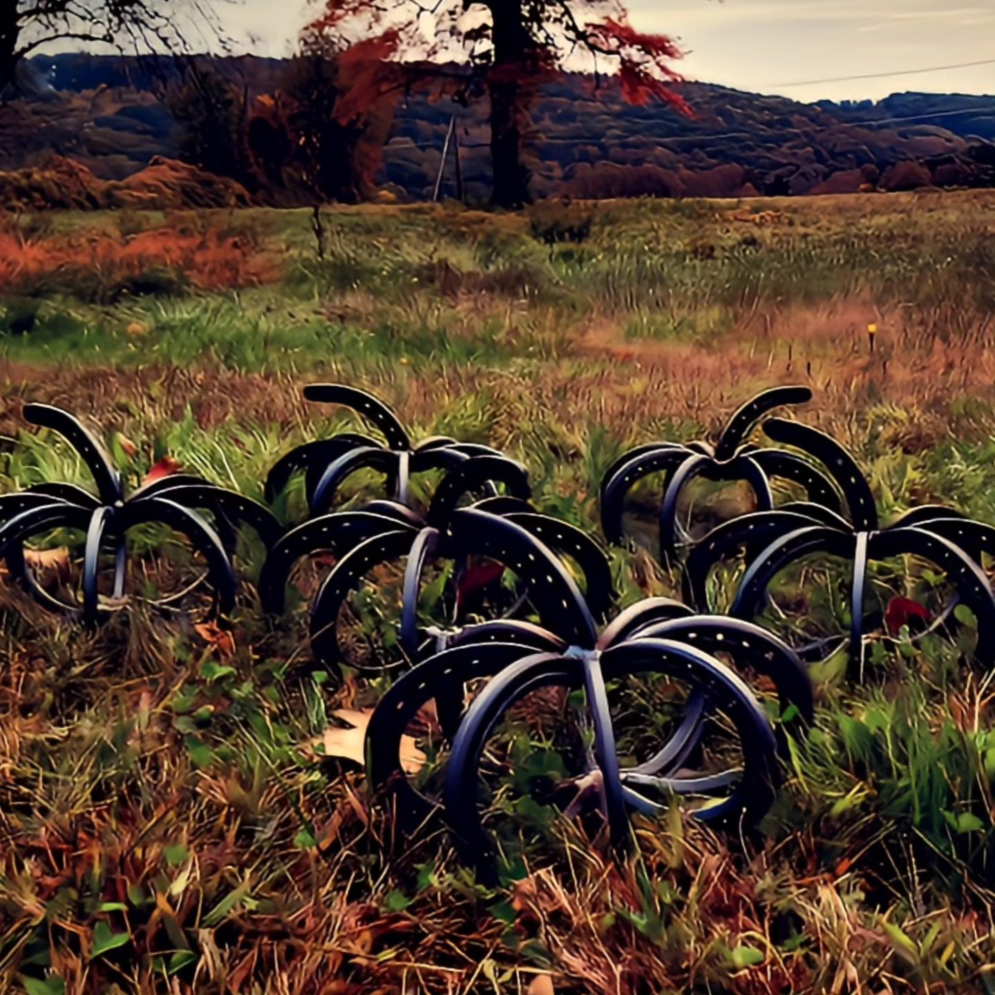 Horseshoe Pumpkin - Arc and Hammer