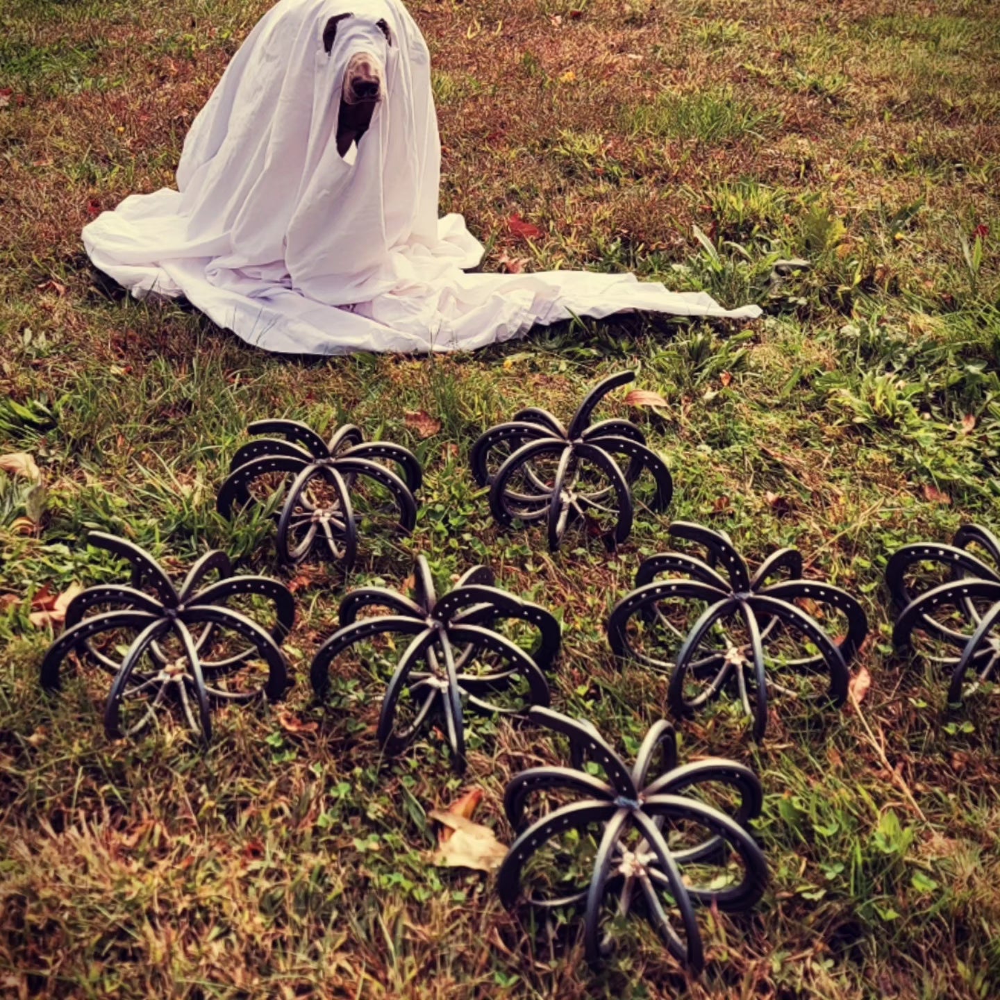 Horseshoe Pumpkin - Arc and Hammer