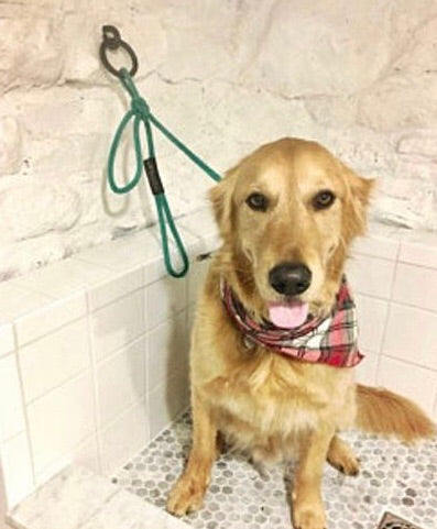 Hitching Post Ring - Arc and Hammer